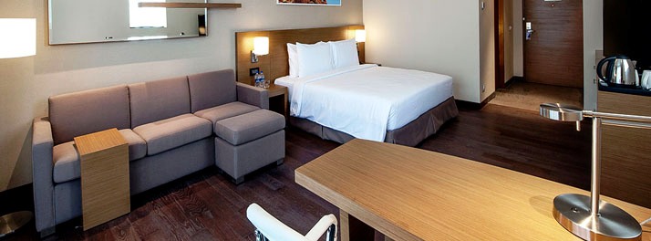 840/Hyatt Place Hampi - Ballari 13.jpg
